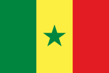 🇸🇳